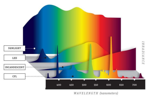 led sunlight cfl incandescent light color temperature comparison resized 600